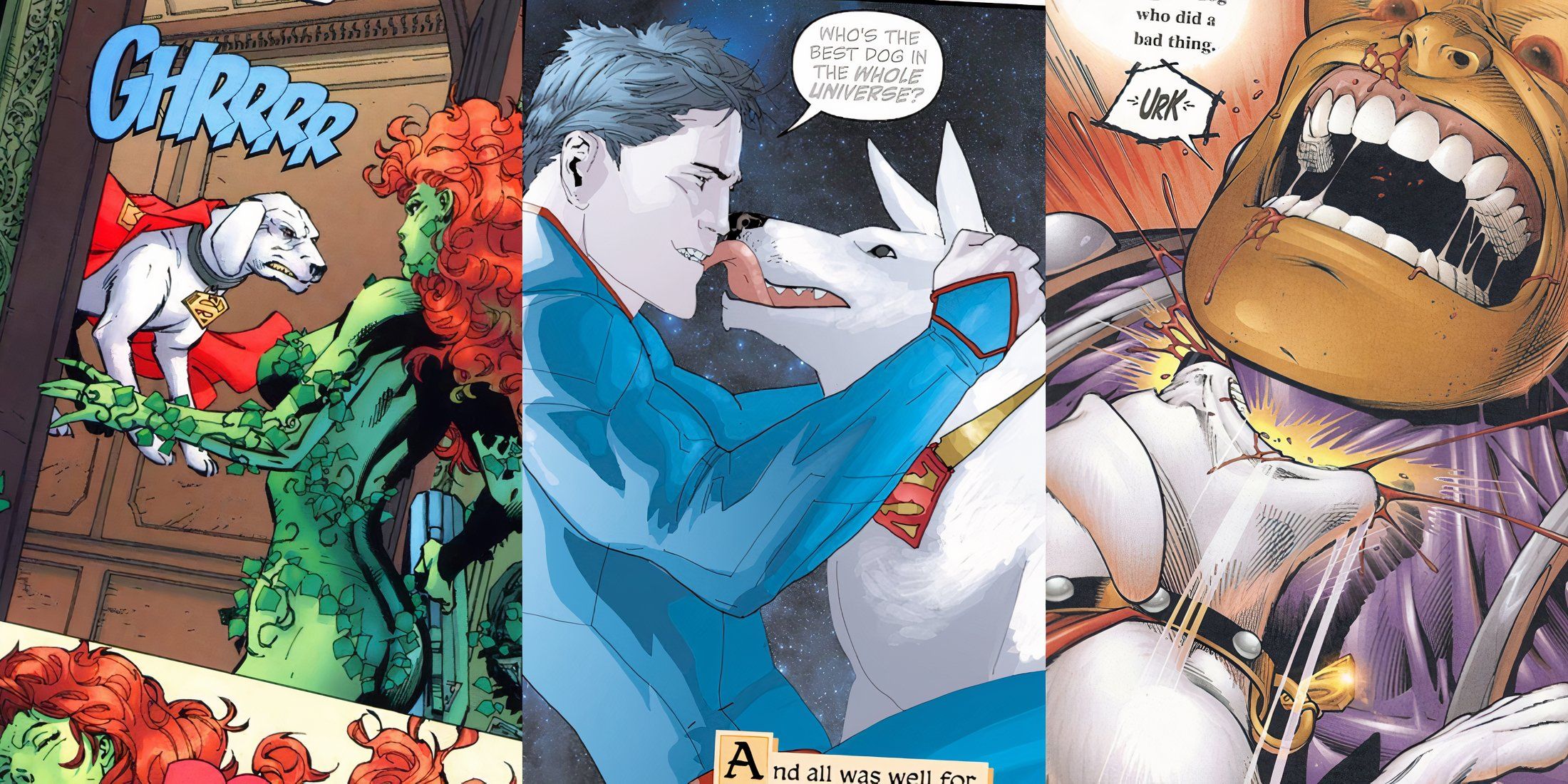 5 times krypto was the goodest boy