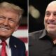 Donald Trump Joe Rogan