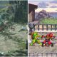 fighting enemies in monster hunter rise and teenage mutant ninja turtles shredder s revenge