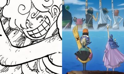 one piece oda just dropped a major hint for vivi s strawhat reunion