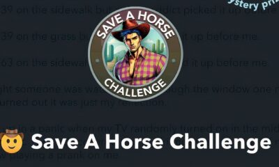 save a horse bitlife 1 1