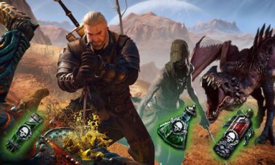 the witcher 3 the 18 best decoctions