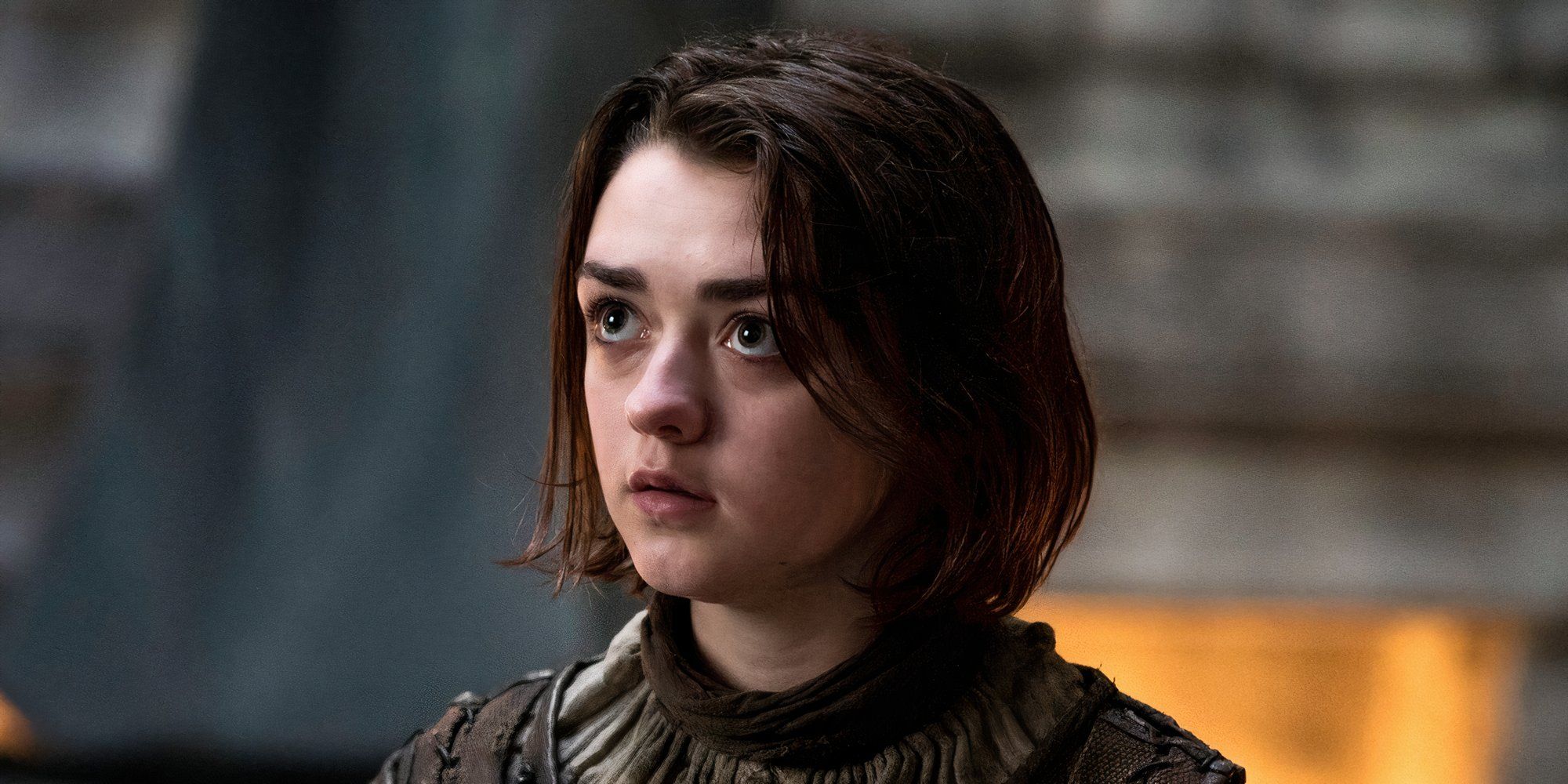 arya stark cropped