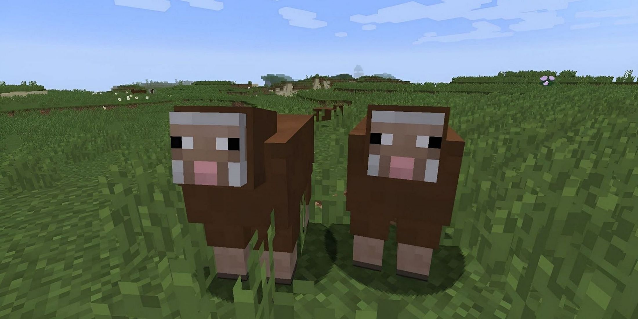 minecraft brown sheep