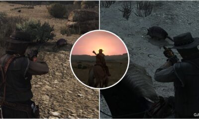 read dead redemption where to find armadillos