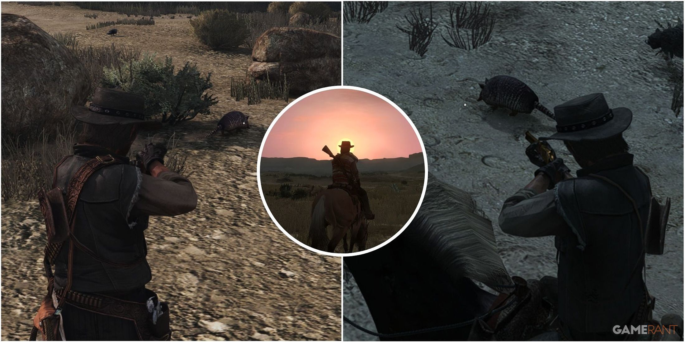 read dead redemption where to find armadillos