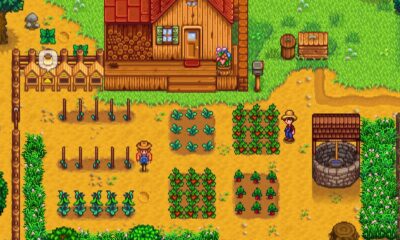 stardew valley