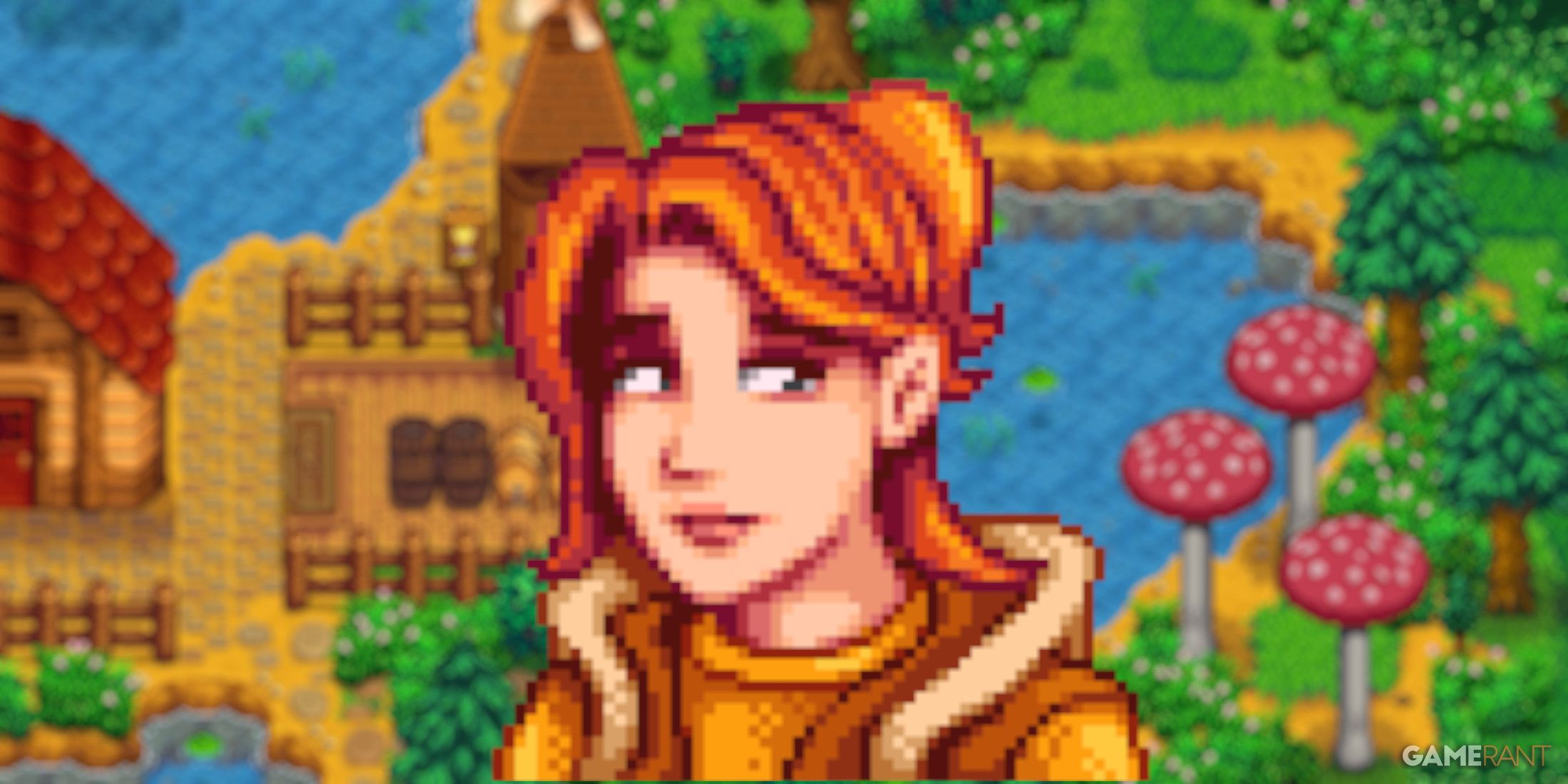 stardew valley robin gr