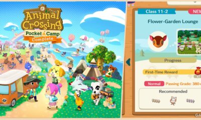 animal crossing pocket camp complete flower garden lounge happy homeroom feature image