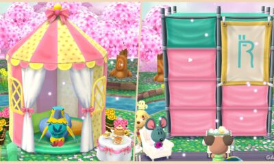 animal crossing pocket camp complete how to get amenities feature image