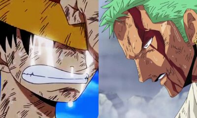 luffy zoro one piece