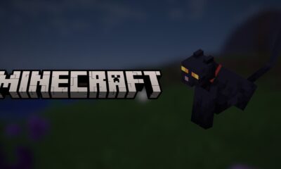 minecraft black cat