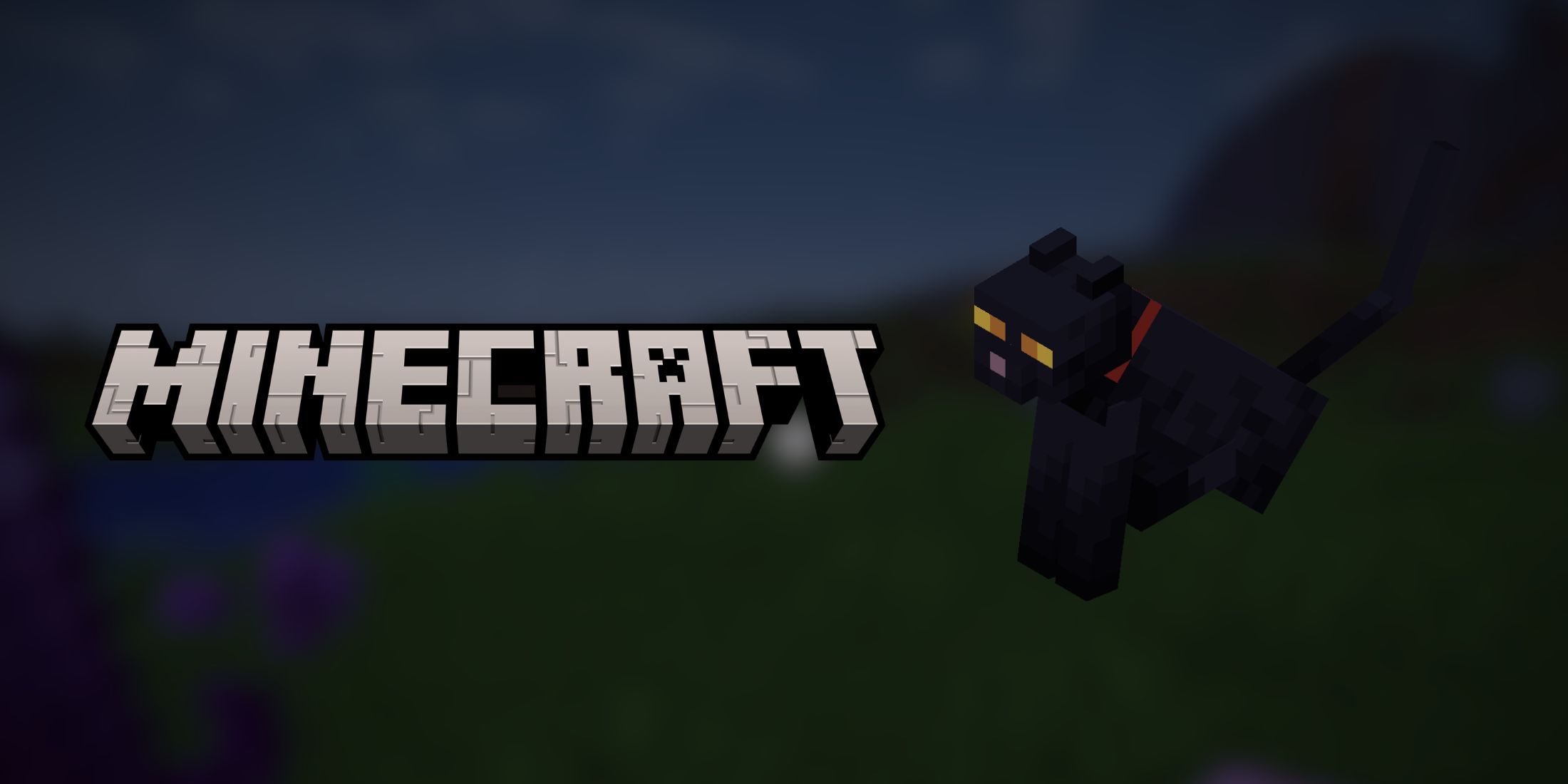 minecraft black cat