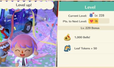 animal crossing pocket camp complete feature image level up quickly