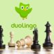 duolingo chess board