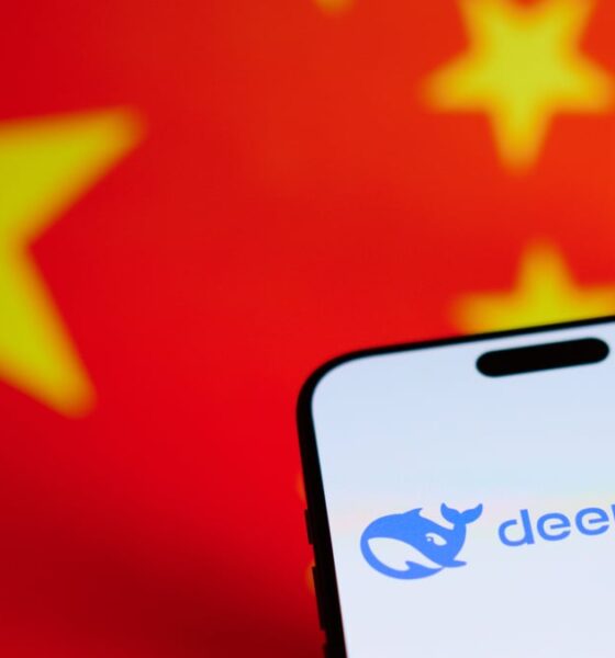 DeepSeek AI gets hit with data privacy red flag by