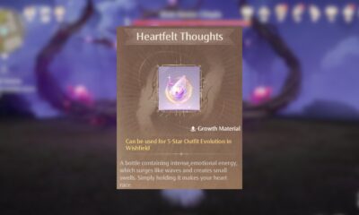 infinity nikki heartfelt thoughts 1