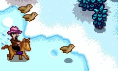 stardew valley riding horse near birds