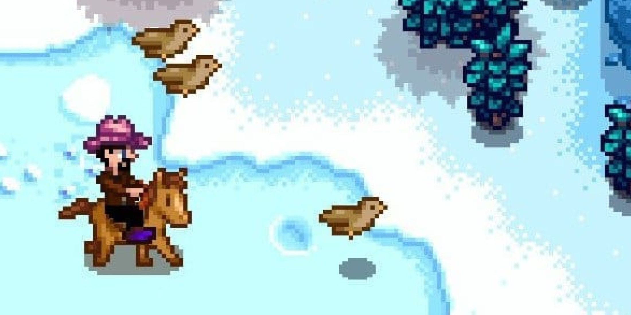 stardew valley riding horse near birds