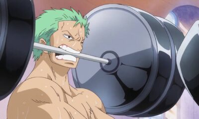 zoro hard work one piece