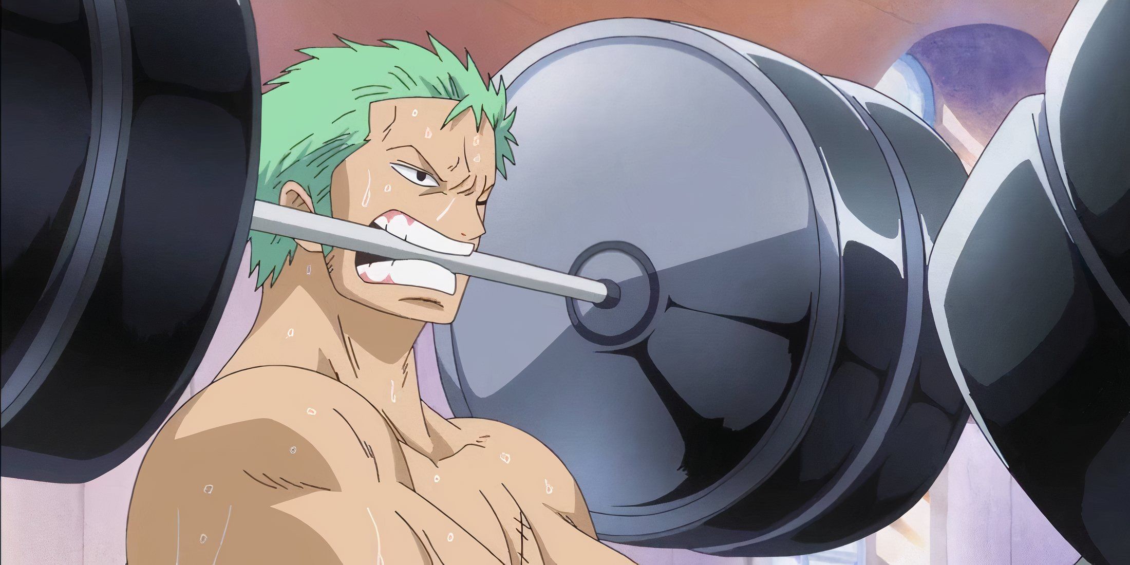 zoro hard work one piece