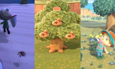 Animal Crossing Earn Bells Fast