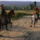 kingdom come deliverance 2 back in the saddle walkthrough