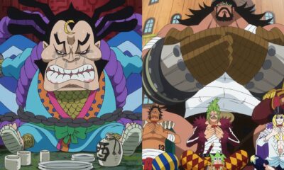 raizo grand fleet one piece