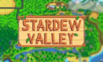 stardew valley map expansions islands