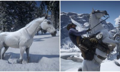 the white arabian in rdr2