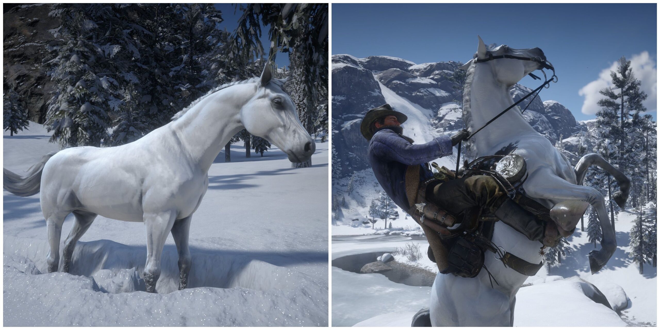 the white arabian in rdr2 scaled