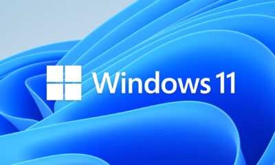 windows 11 logo bloom bg